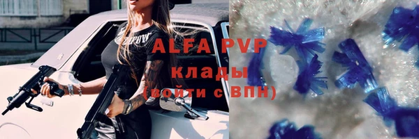 СК Орехово-Зуево